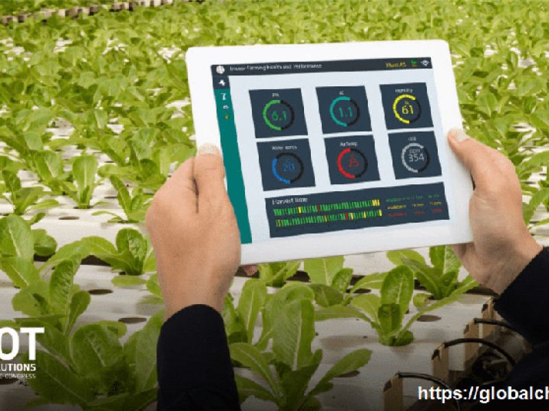 Tại sao nên ứng dụng IoT trong nông nghiệp?