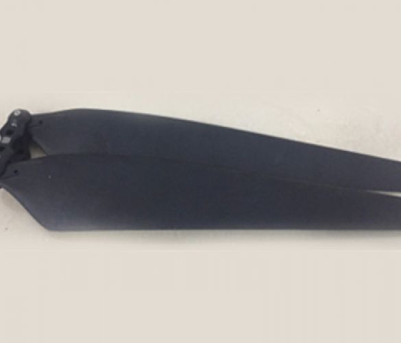 Cánh thuận ( M2,4) P30 2019