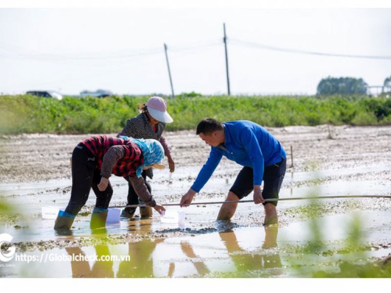 Cuộc đấu giữa máy bay gieo hạt không người lái P - GlobalCheck và gieo hạt thủ công bằng người - Kết quả sẽ ra sao?