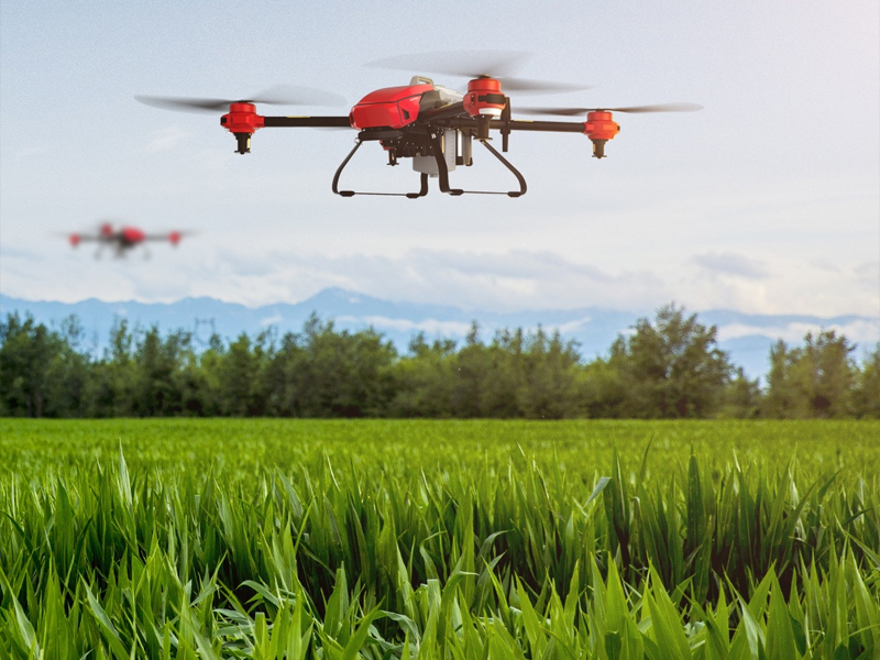 Thông báo kế hoạch trình diễn máy bay phun thuốc bảo vệ thực vật tại 3 tỉnh Long An, Tiền Giang, Đồng Tháp vào những ngày cuối tháng 3/2021